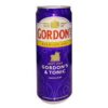 Gordon's Rtd London Dry Gin And Tonic 330ml